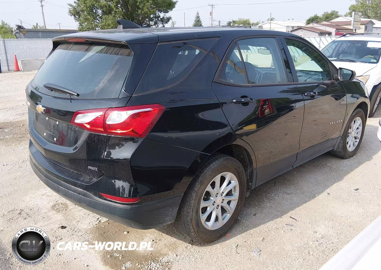 2019 Chevrolet Equinox Ls VIN:2GNAXSEV4K6197708 - 4