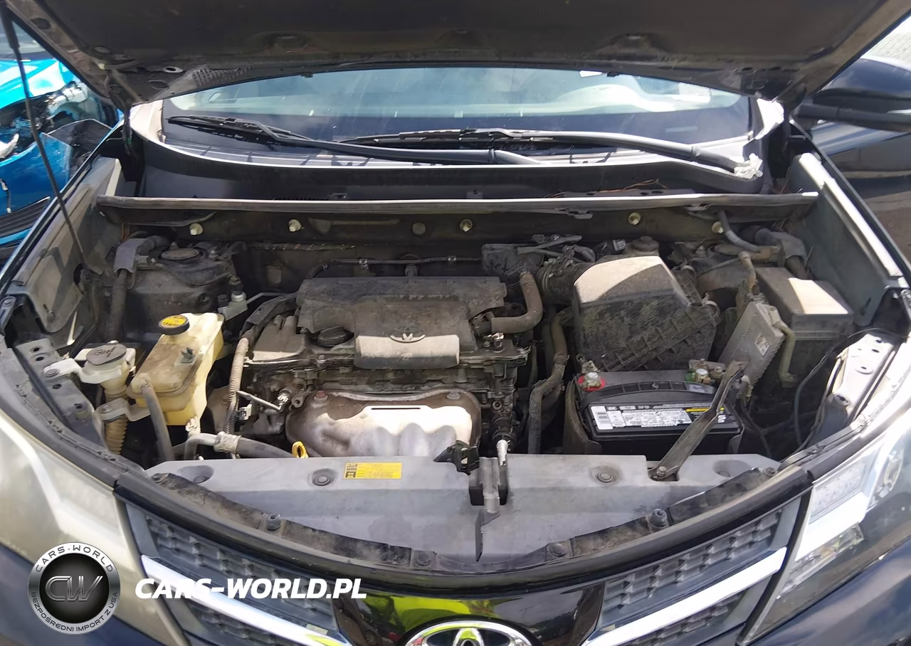 2015 Toyota Rav4 Xle VIN:2T3WFREV2FW161648 - 10