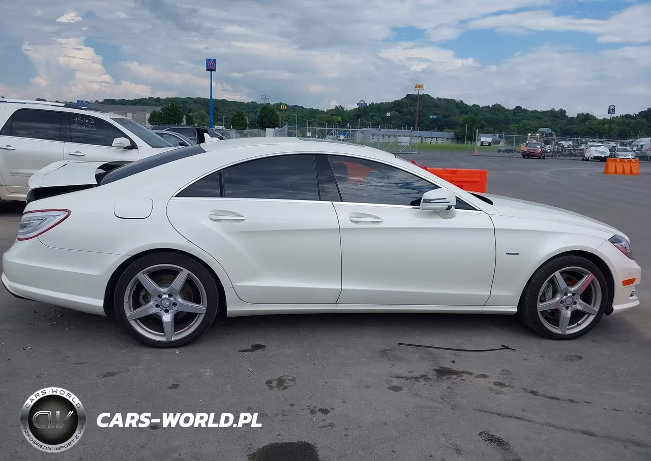 2012 Mercedes-Benz Cls 550 4Matic VIN:WDDLJ9BB7CA047222 - 14