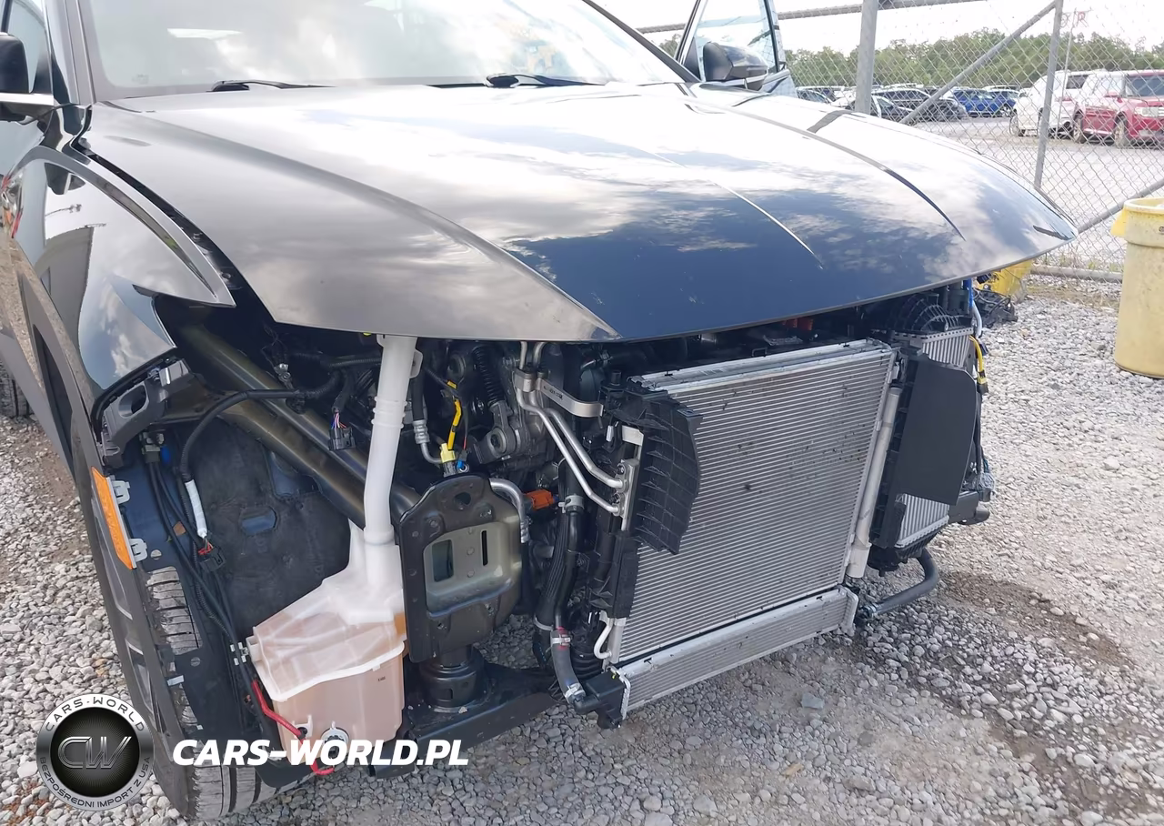 2025 Hyundai Tucson Hybrid Limited VIN:KM8JEDD14SU272218 - 20