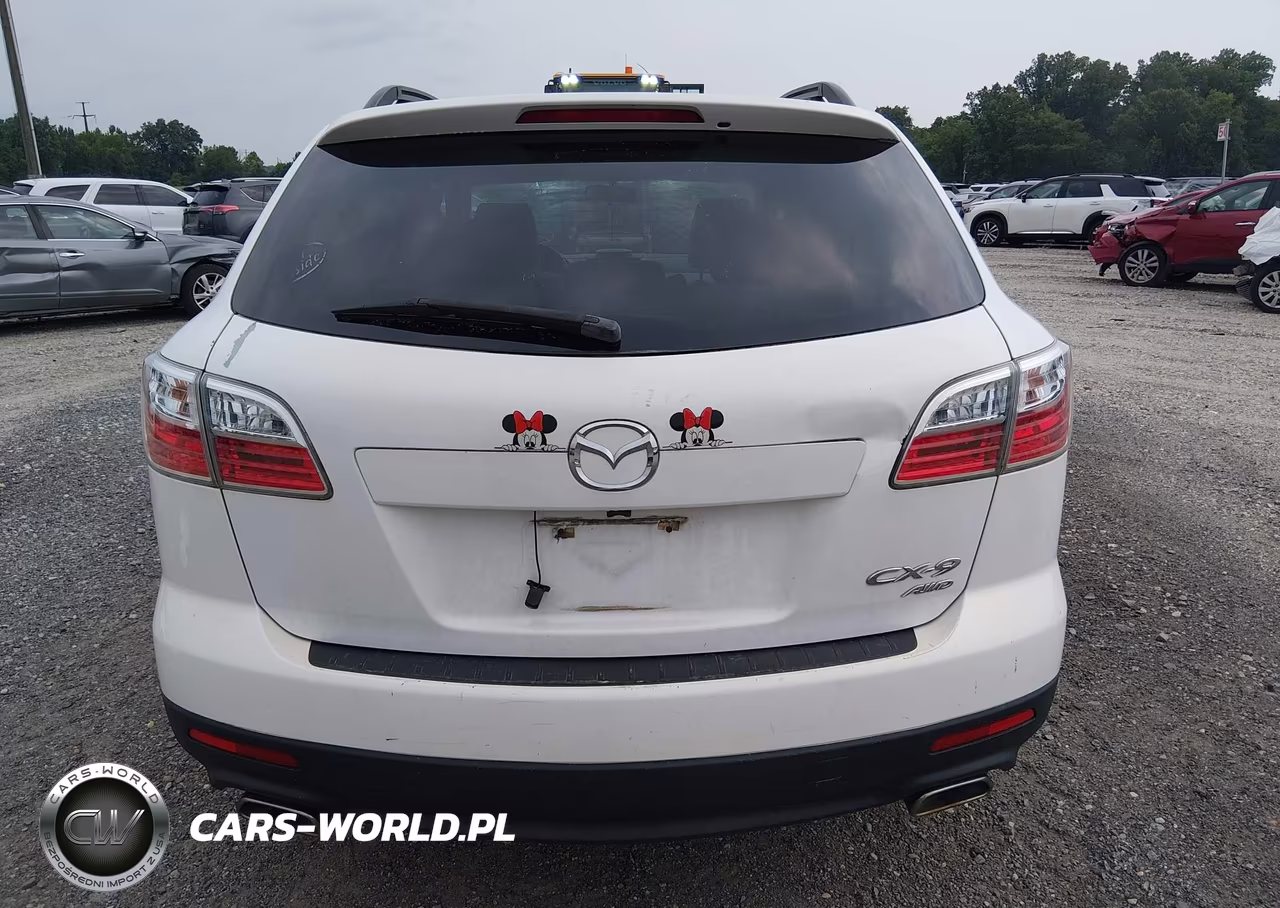 2011 Mazda Cx-9 Sport VIN:JM3TB3BVXB0315190 - 17