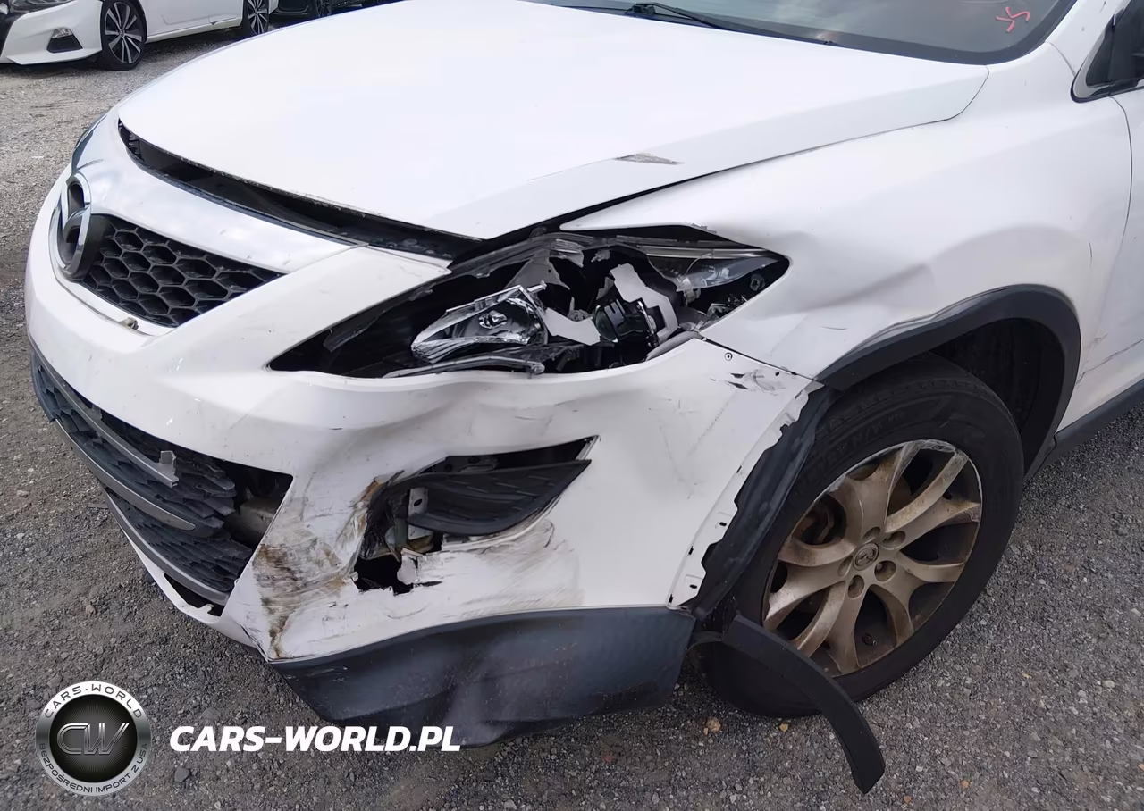 2011 Mazda Cx-9 Sport VIN:JM3TB3BVXB0315190 - 6