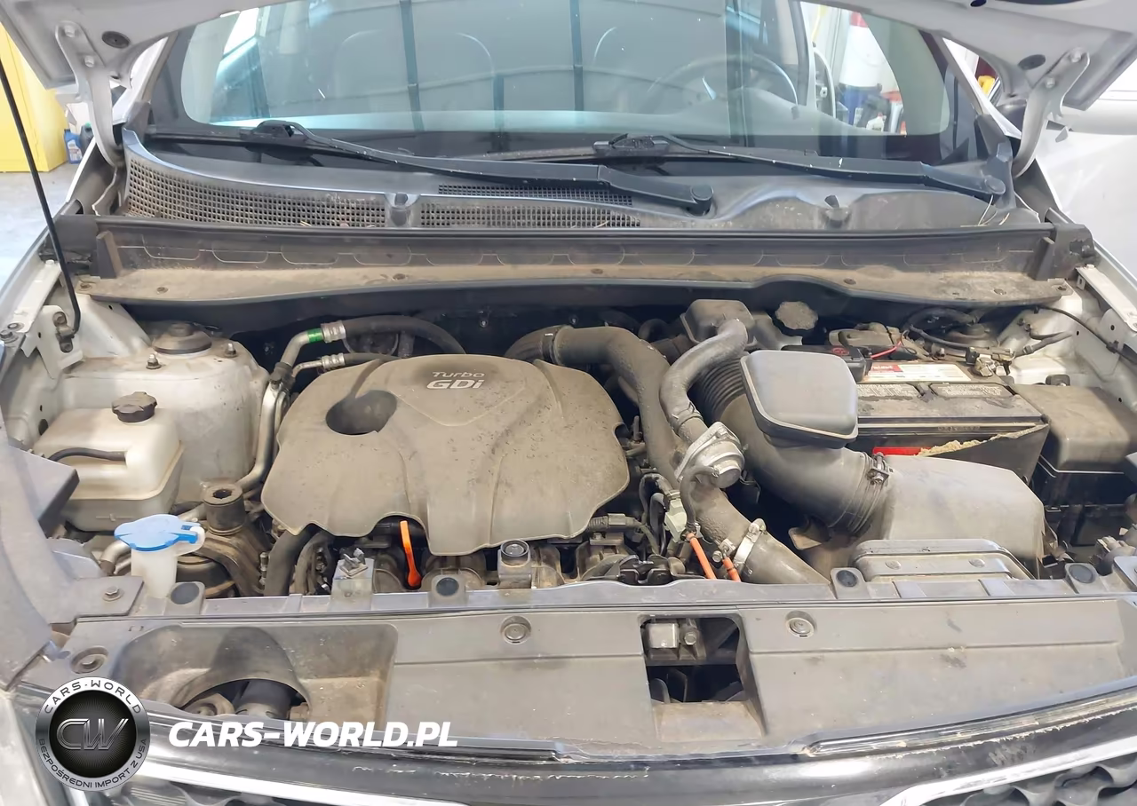 2011 Kia Sportage Sx VIN:KNDPCCA6XB7151223 - 10