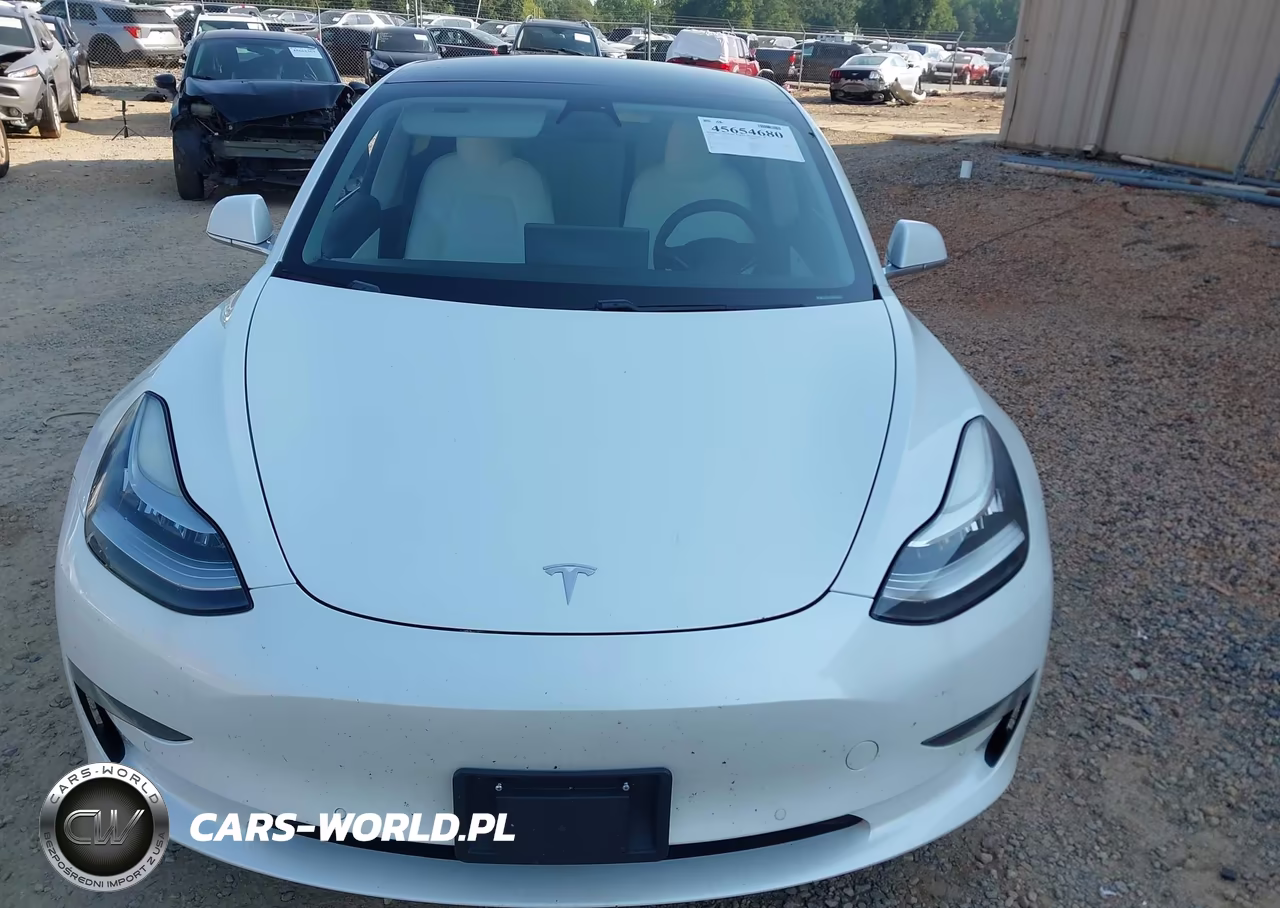 2020 Tesla Model 3 Standard Range Plus Rear-Wheel Drive-Standard Range Rear-Wheel Drive VIN:5YJ3E1EA6LF599434 - 12