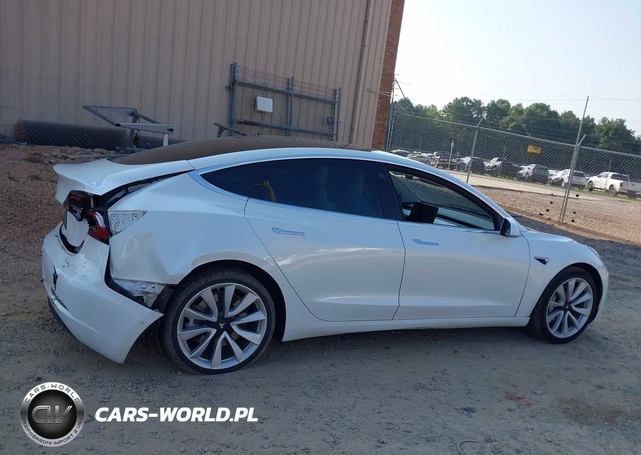 2020 Tesla Model 3 Standard Range Plus Rear-Wheel Drive-Standard Range Rear-Wheel Drive VIN:5YJ3E1EA6LF599434 - 13