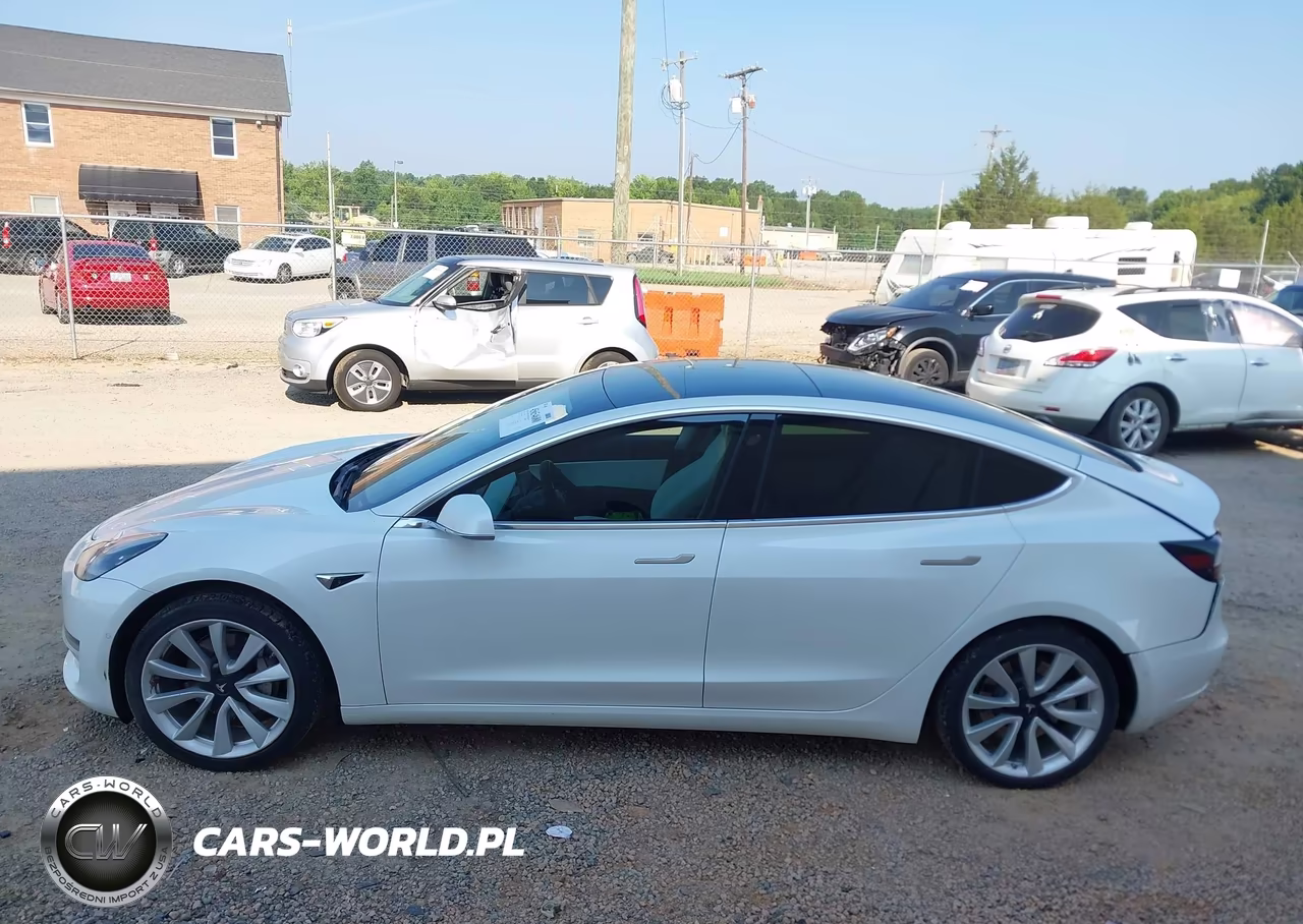 2020 Tesla Model 3 Standard Range Plus Rear-Wheel Drive-Standard Range Rear-Wheel Drive VIN:5YJ3E1EA6LF599434 - 14