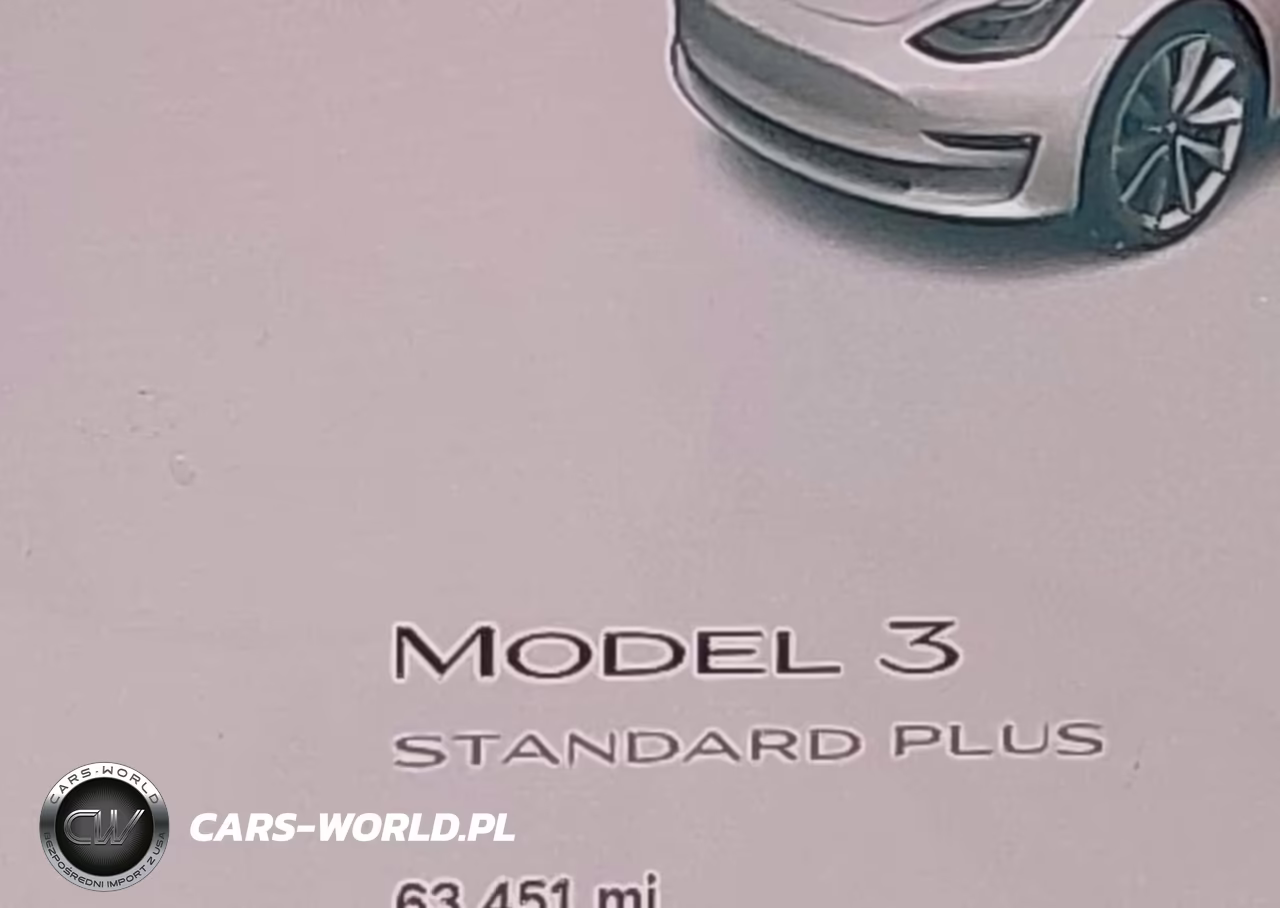 2020 Tesla Model 3 Standard Range Plus Rear-Wheel Drive-Standard Range Rear-Wheel Drive VIN:5YJ3E1EA6LF599434 - 15