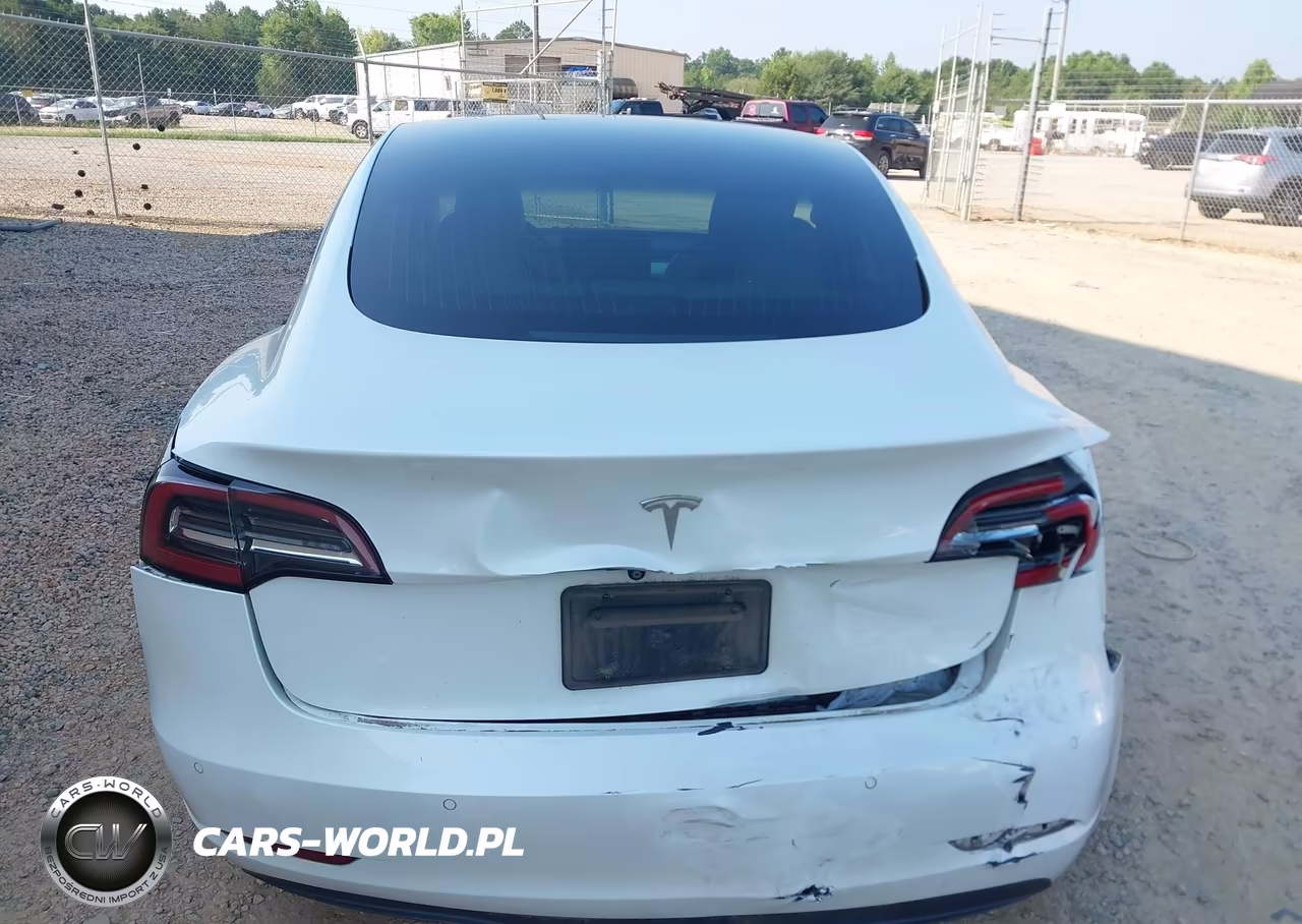2020 Tesla Model 3 Standard Range Plus Rear-Wheel Drive-Standard Range Rear-Wheel Drive VIN:5YJ3E1EA6LF599434 - 16