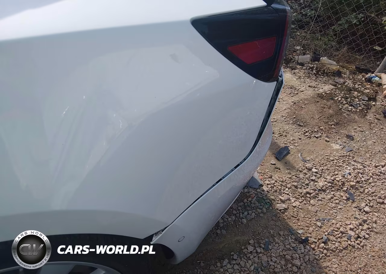2020 Tesla Model 3 Standard Range Plus Rear-Wheel Drive-Standard Range Rear-Wheel Drive VIN:5YJ3E1EA6LF599434 - 20