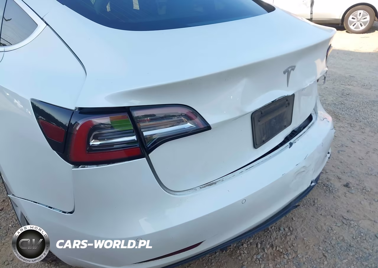 2020 Tesla Model 3 Standard Range Plus Rear-Wheel Drive-Standard Range Rear-Wheel Drive VIN:5YJ3E1EA6LF599434 - 21