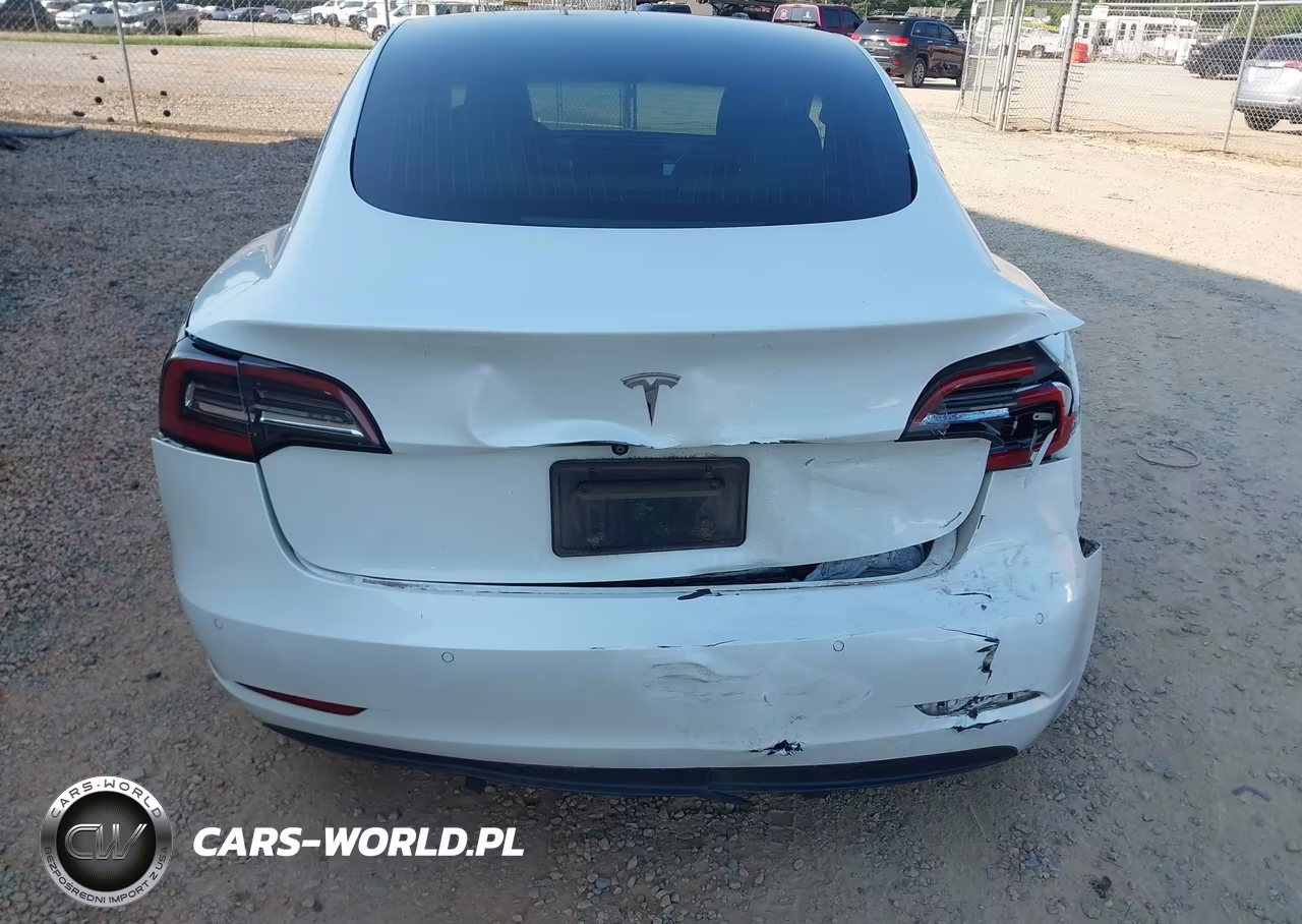 2020 Tesla Model 3 Standard Range Plus Rear-Wheel Drive-Standard Range Rear-Wheel Drive VIN:5YJ3E1EA6LF599434 - 6