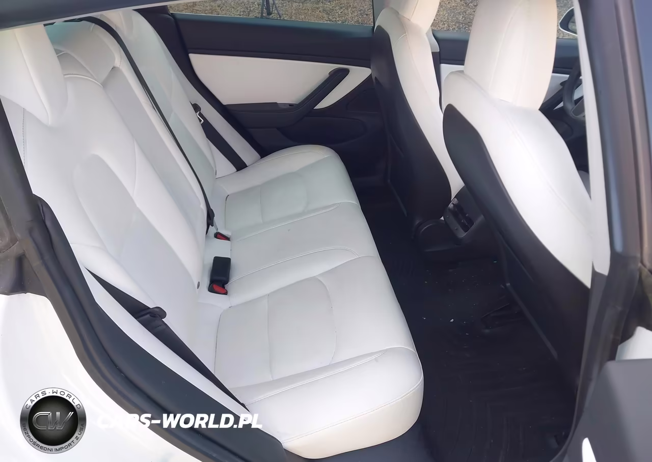 2020 Tesla Model 3 Standard Range Plus Rear-Wheel Drive-Standard Range Rear-Wheel Drive VIN:5YJ3E1EA6LF599434 - 8