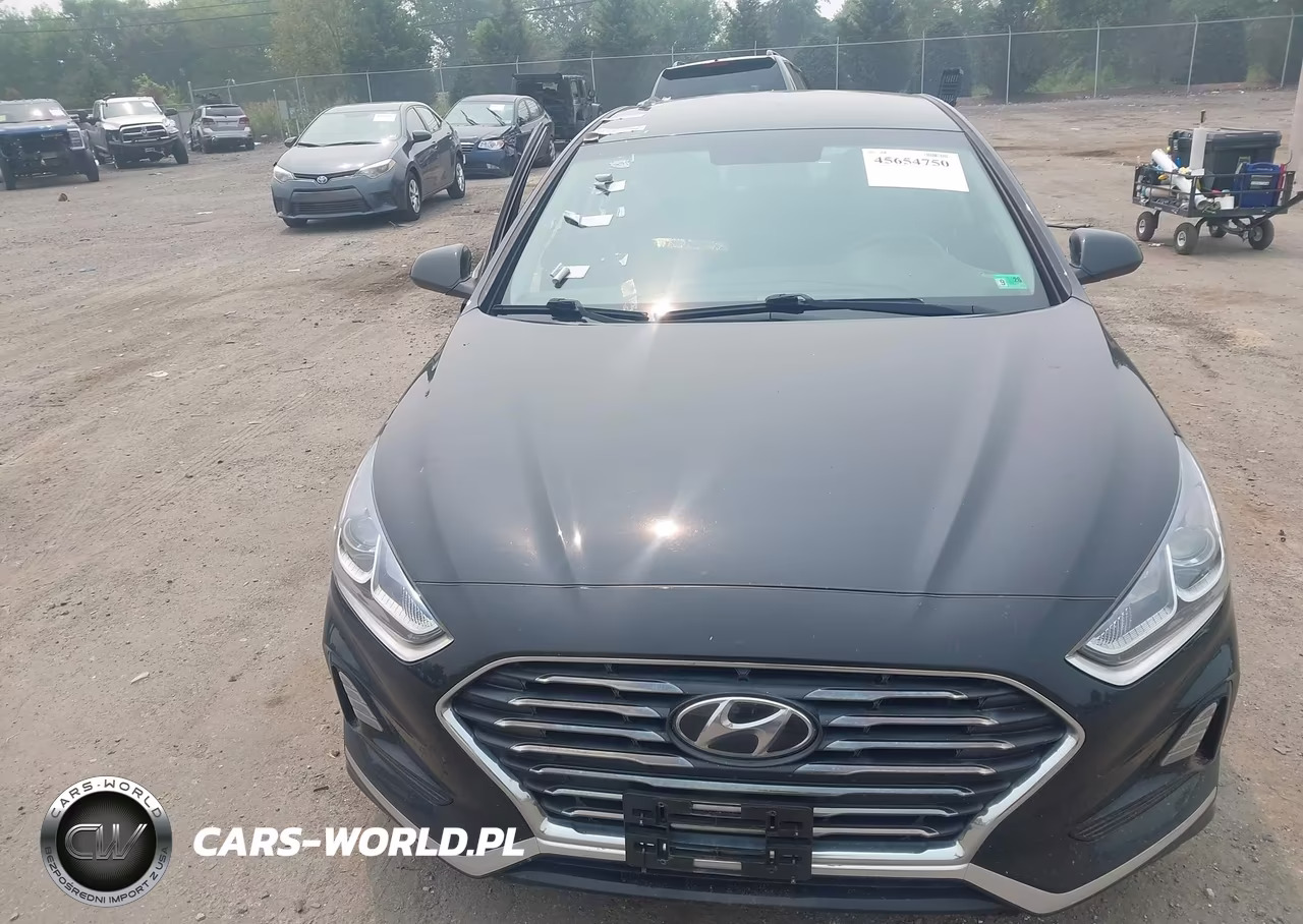 2019 Hyundai Sonata Se VIN:5NPE24AF8KH811125 - 12