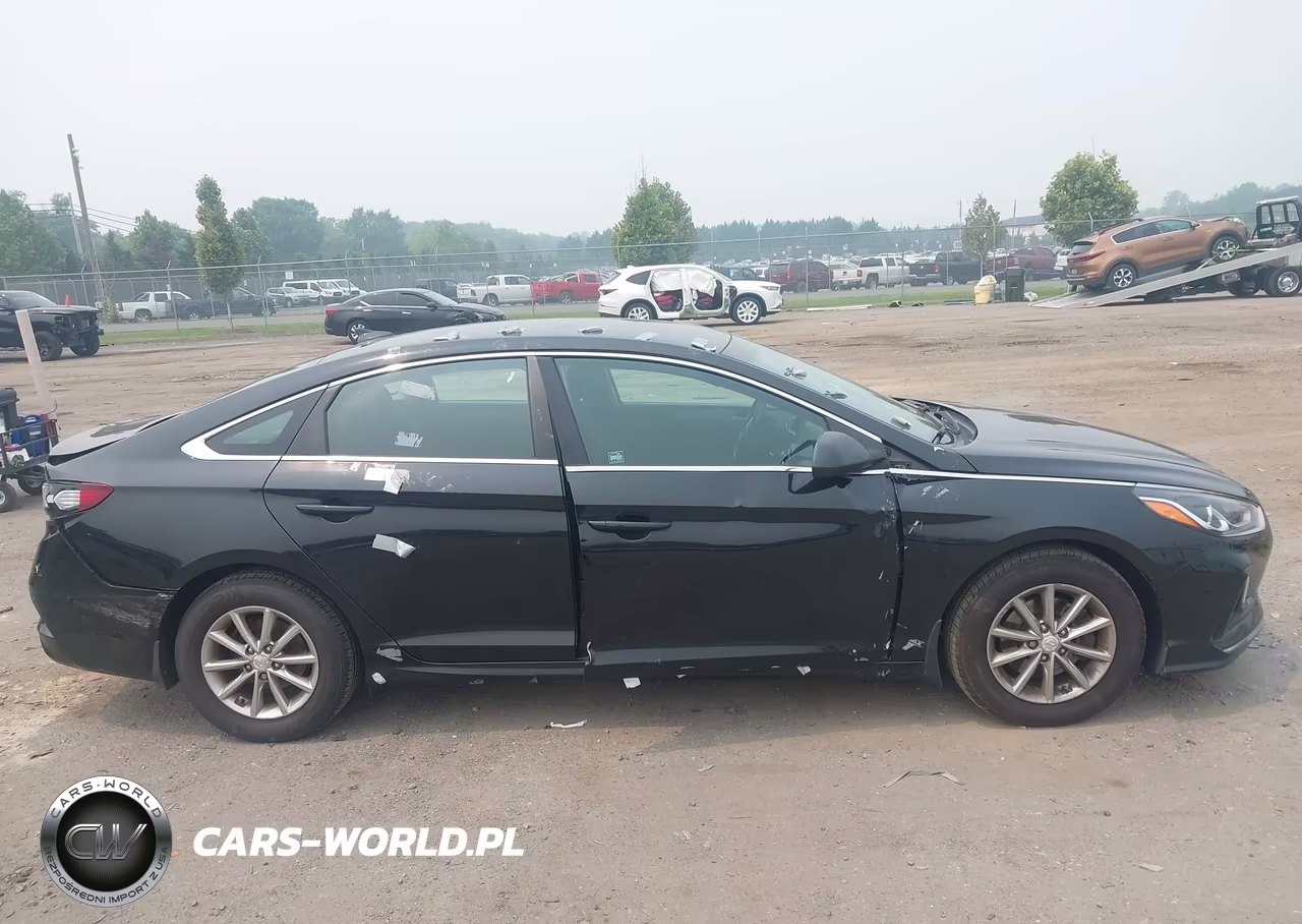 2019 Hyundai Sonata Se VIN:5NPE24AF8KH811125 - 13