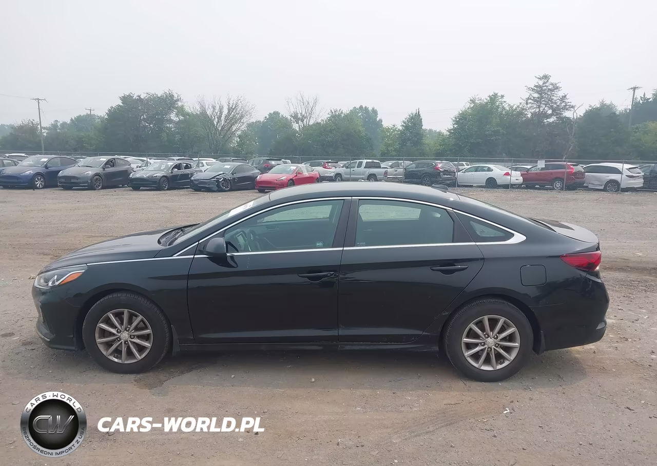 2019 Hyundai Sonata Se VIN:5NPE24AF8KH811125 - 14