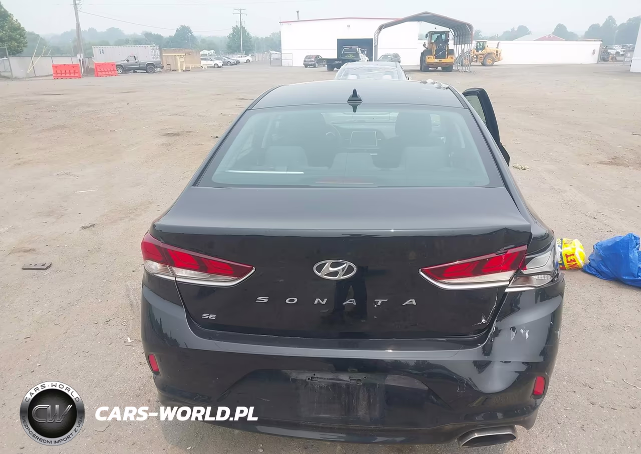 2019 Hyundai Sonata Se VIN:5NPE24AF8KH811125 - 16