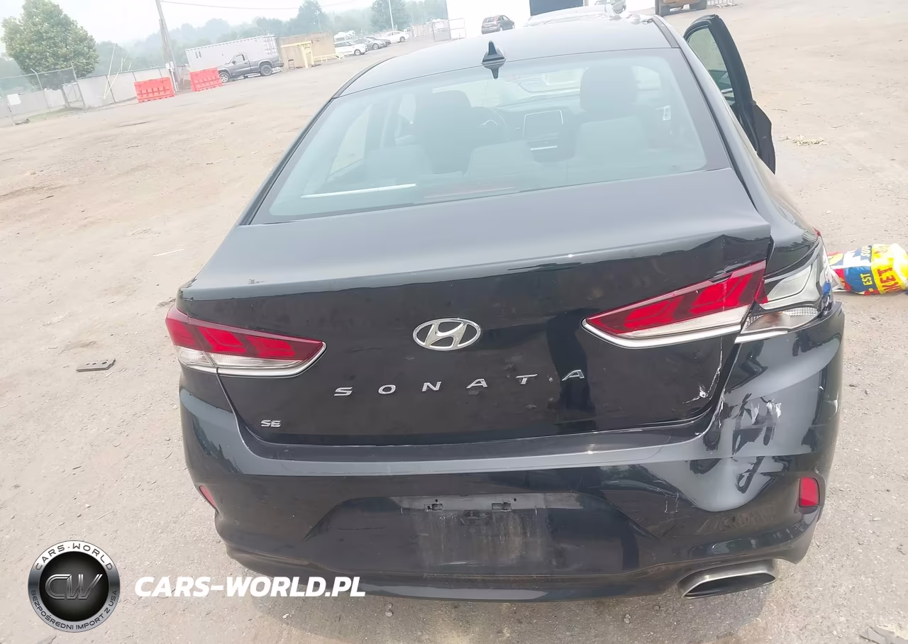 2019 Hyundai Sonata Se VIN:5NPE24AF8KH811125 - 17