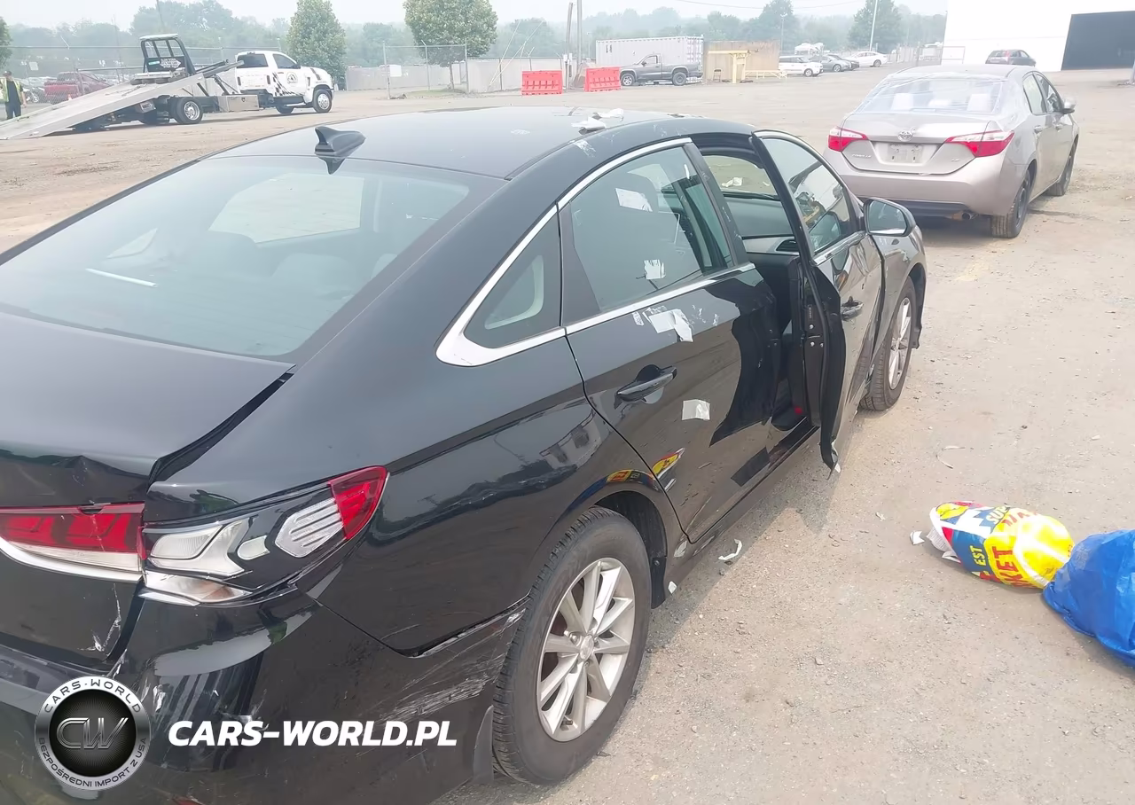 2019 Hyundai Sonata Se VIN:5NPE24AF8KH811125 - 18