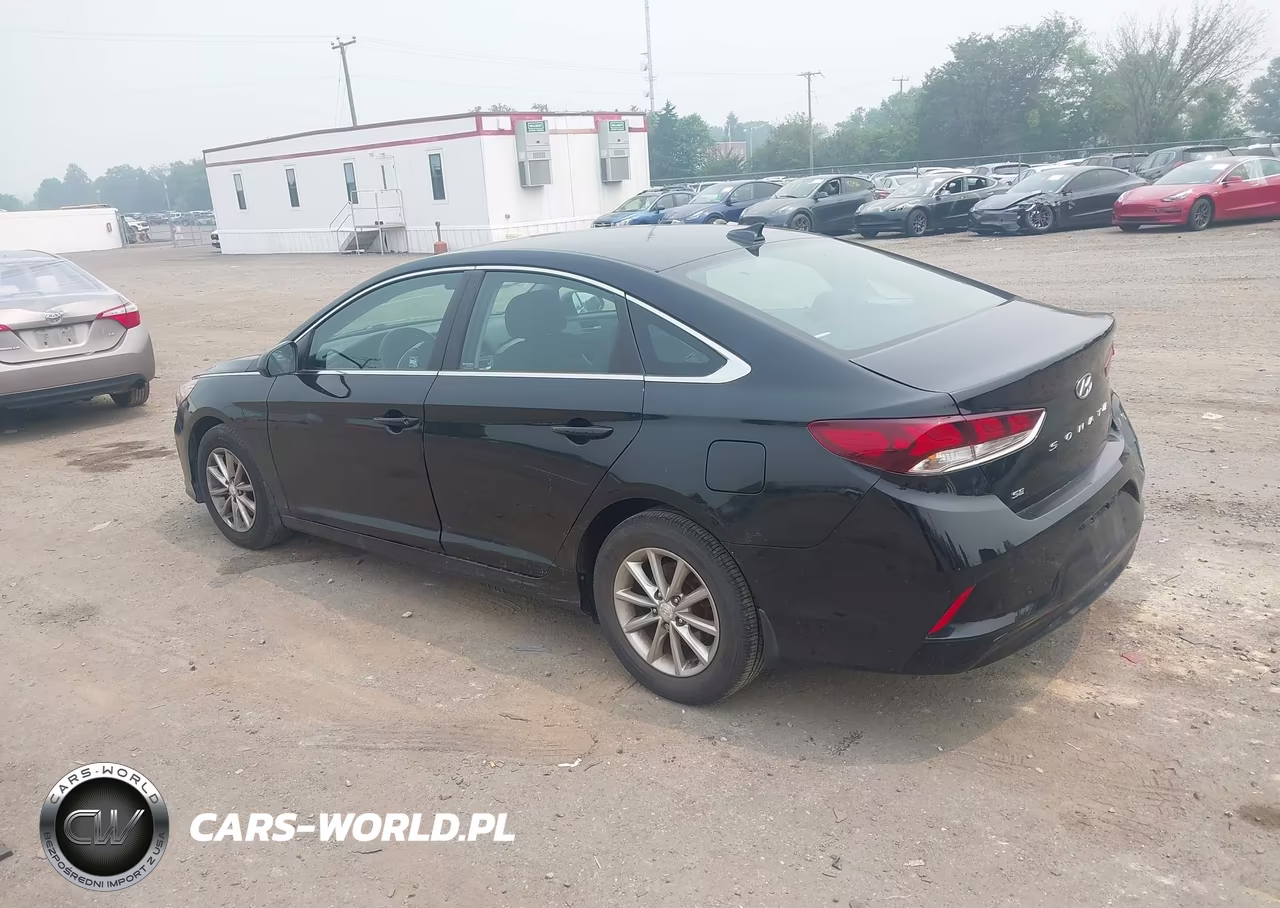 2019 Hyundai Sonata Se VIN:5NPE24AF8KH811125 - 3