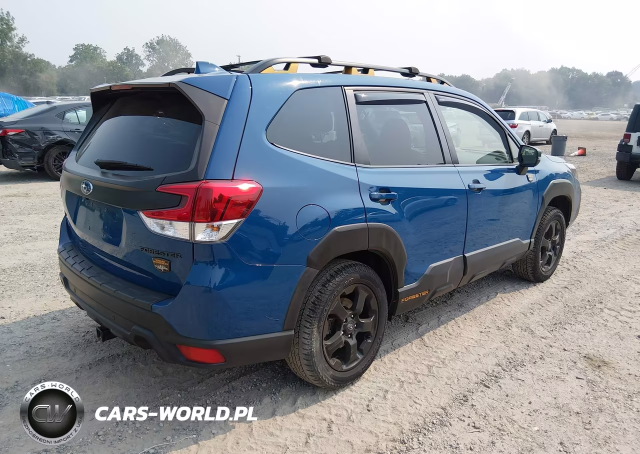 2022 Subaru Forester Wilderness VIN:JF2SKAMC1NH524720 - 4