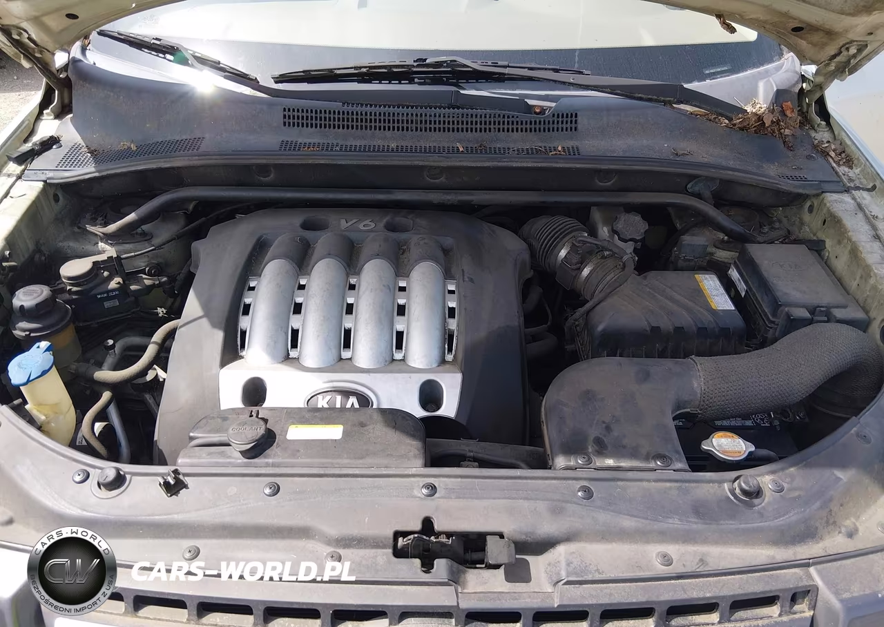2006 Kia Sportage Ex V6-Lx V6 VIN:KNDJF723867244711 - 10