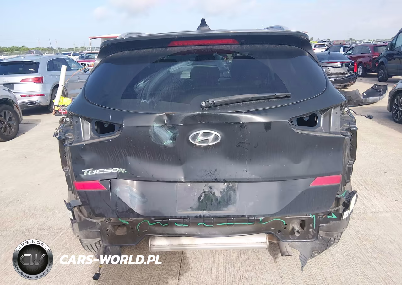 2019 Hyundai Tucson Value VIN:KM8J33A48KU856278 - 16