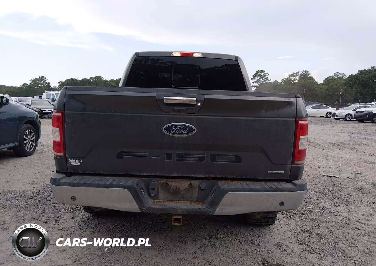 2020 Ford F-150 Xlt VIN:1FTEW1E45LFA67636 - 17