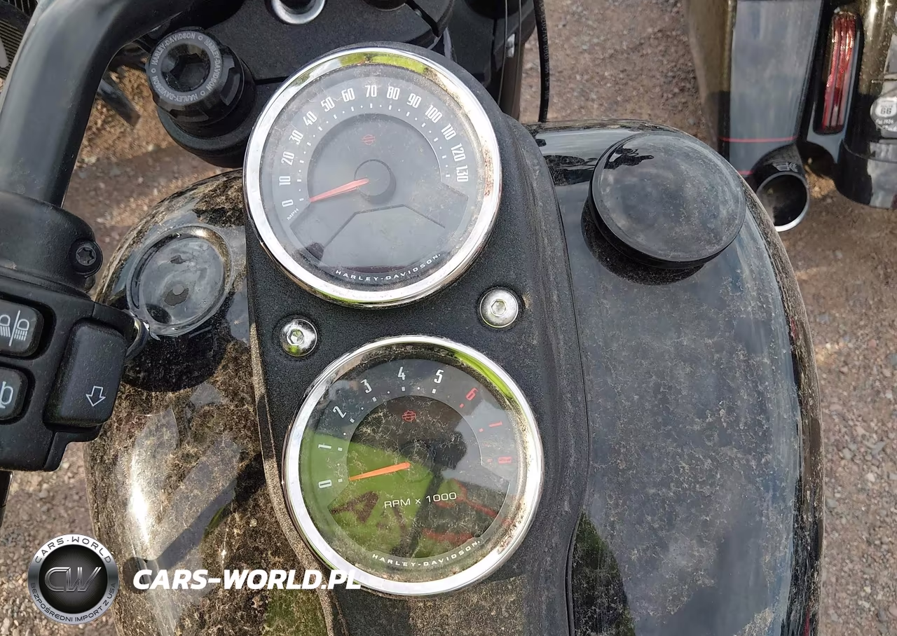 2021 Harley-Davidson Fxlrs VIN:1HD1YWK10MB044871 - 7