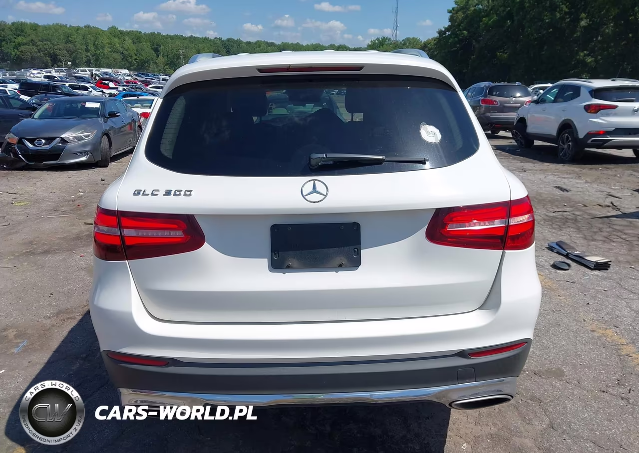2017 Mercedes-Benz Glc 300 VIN:WDC0G4JB4HF182694 - 16