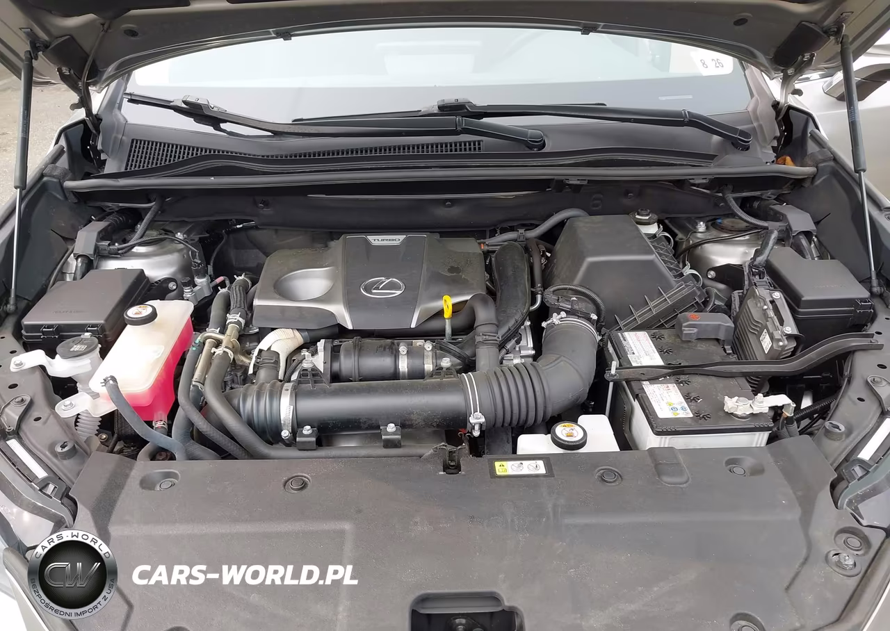 2021 Lexus Nx 300 VIN:JTJDARDZ4M5029180 - 10