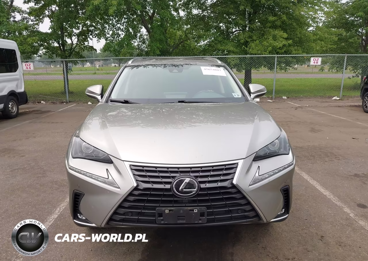 2021 Lexus Nx 300 VIN:JTJDARDZ4M5029180 - 12