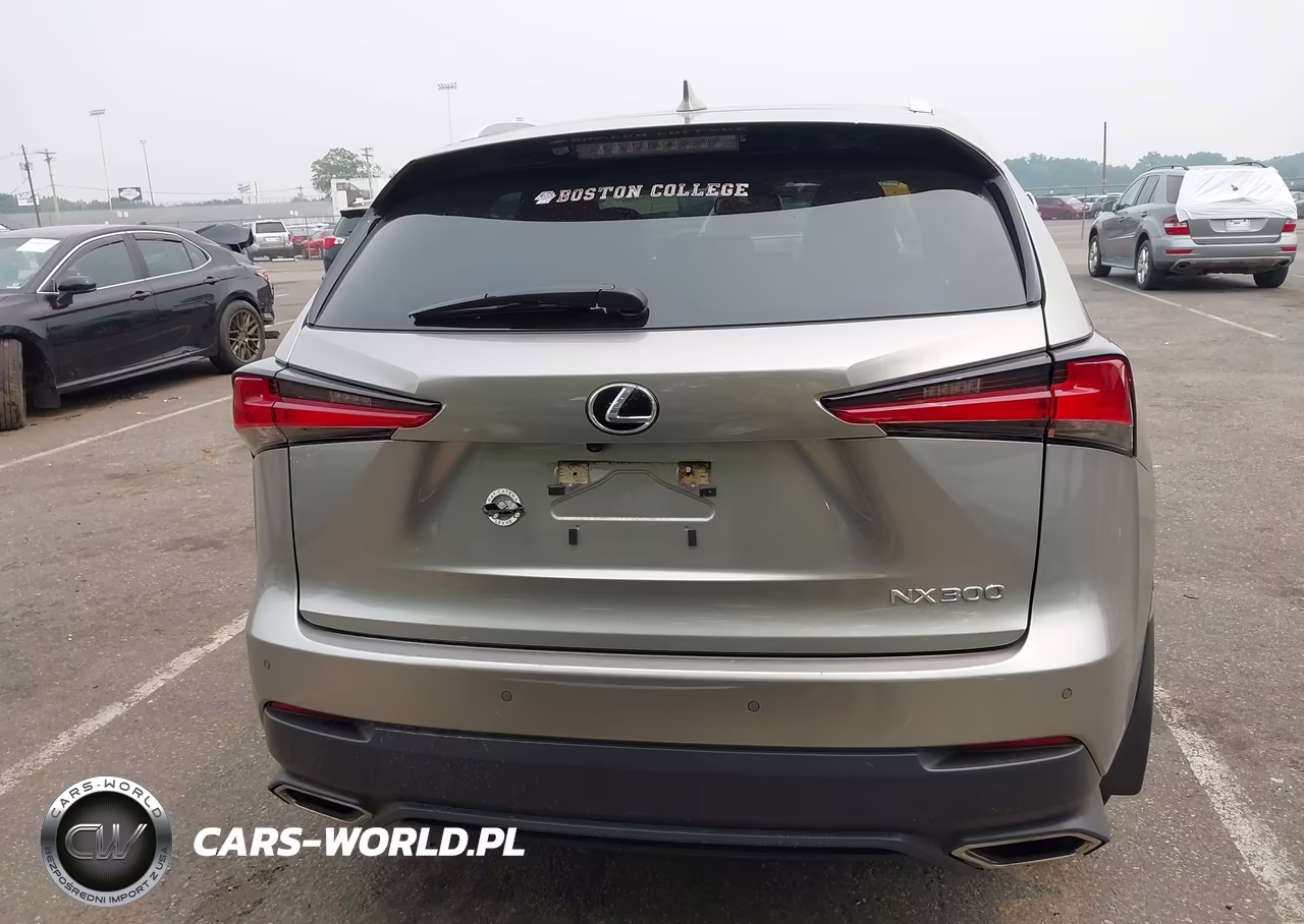2021 Lexus Nx 300 VIN:JTJDARDZ4M5029180 - 16