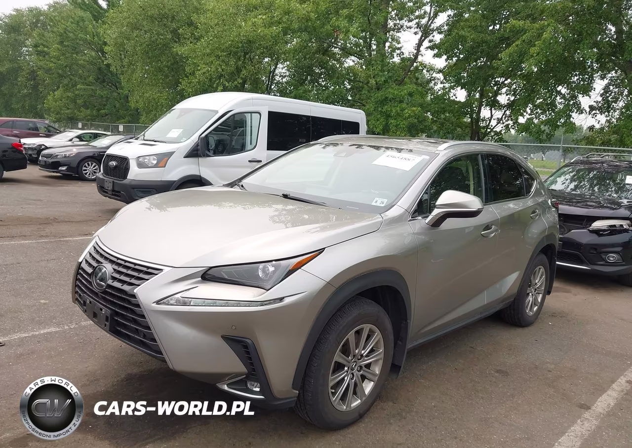 2021 Lexus Nx 300 VIN:JTJDARDZ4M5029180 - 2