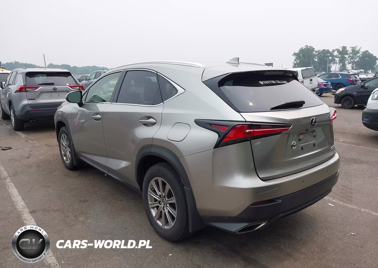 2021 Lexus Nx 300 VIN:JTJDARDZ4M5029180 - 3