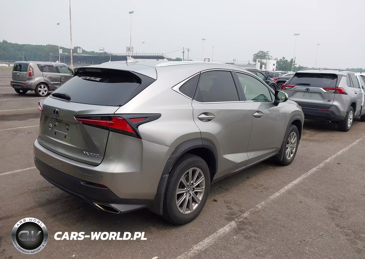2021 Lexus Nx 300 VIN:JTJDARDZ4M5029180 - 4