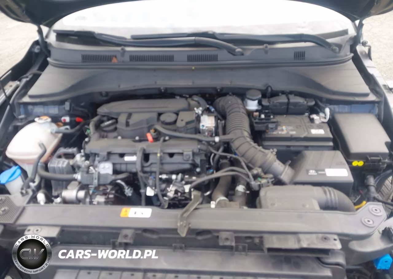 2023 Hyundai Kona Limited VIN:KM8K5CA37PU052373 - 10
