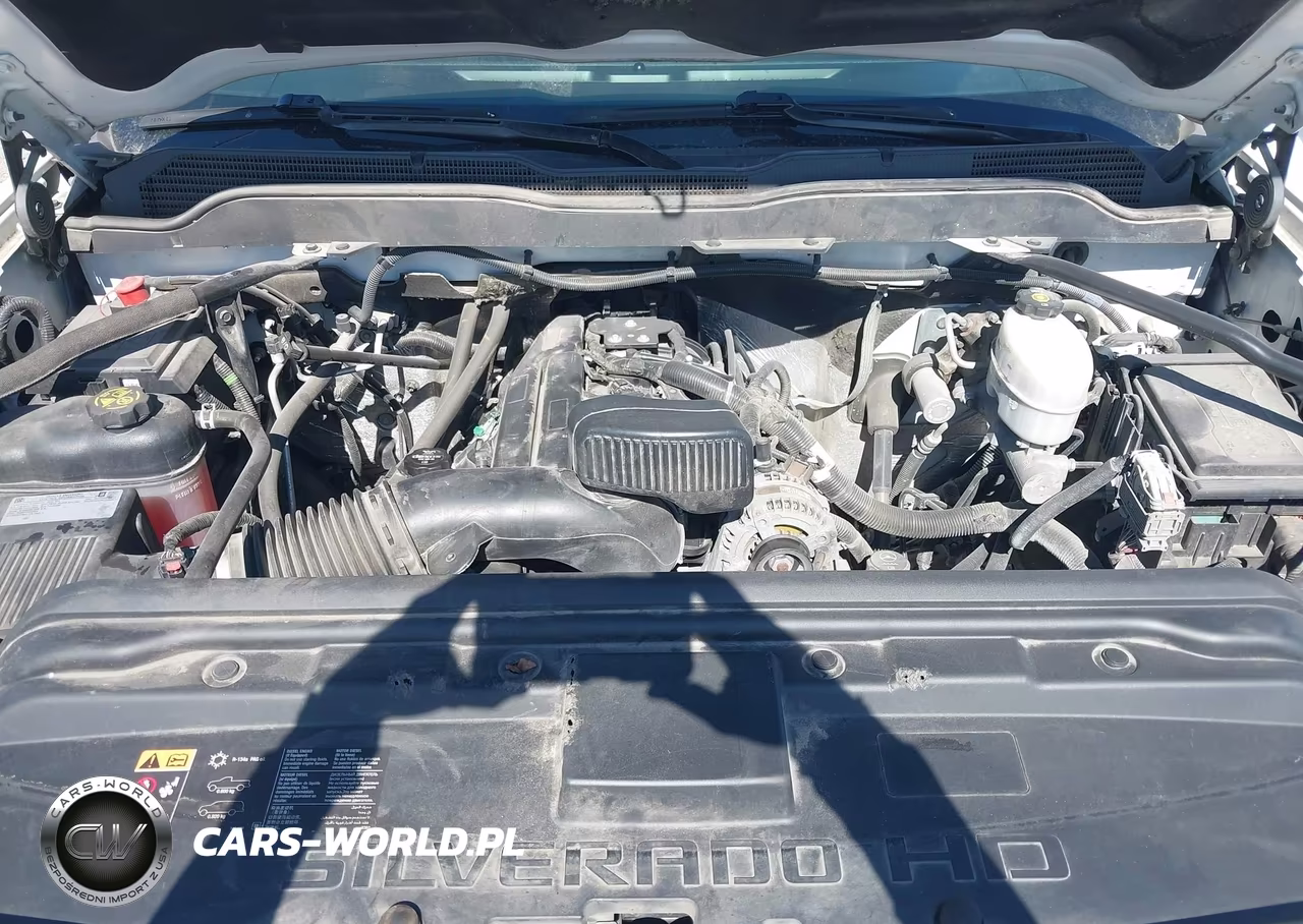 2019 Chevrolet Silverado 2500Hd Lt VIN:2GC2KSEGXK1212965 - 10