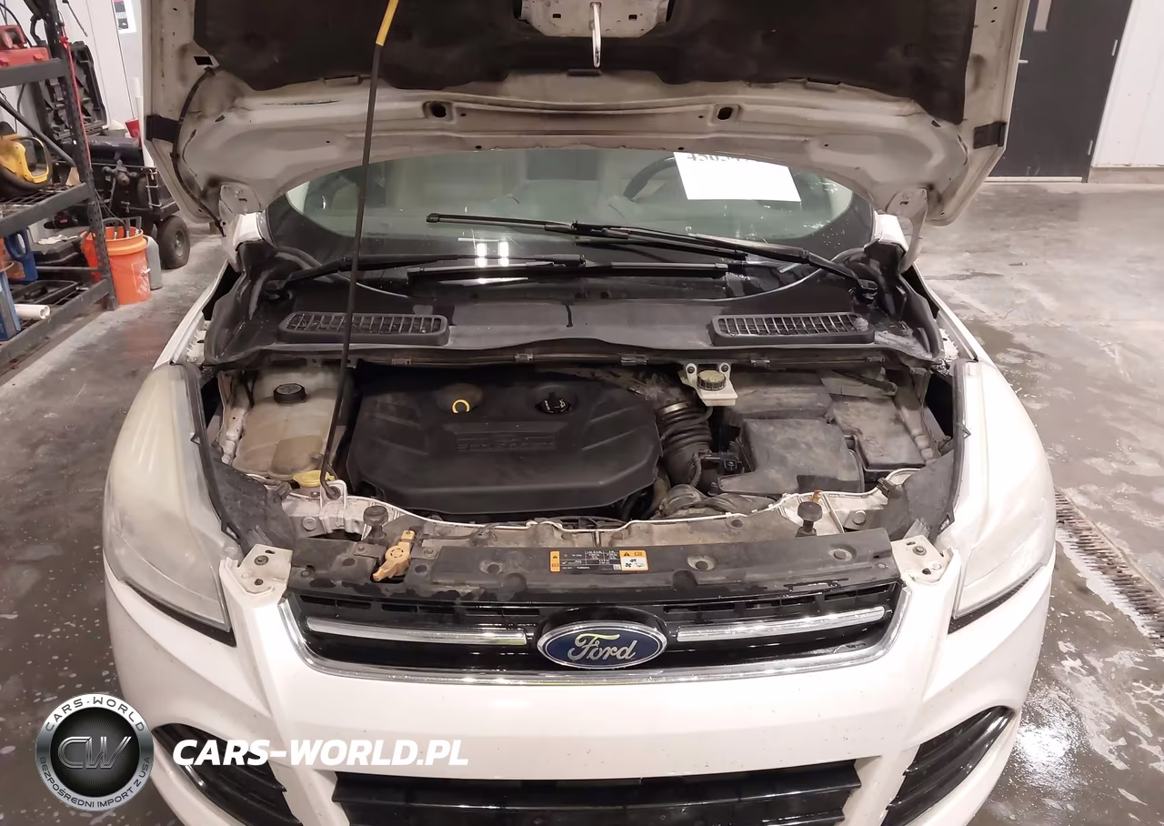 2013 Ford Escape Sel VIN:1FMCU9H9XDUB63970 - 10