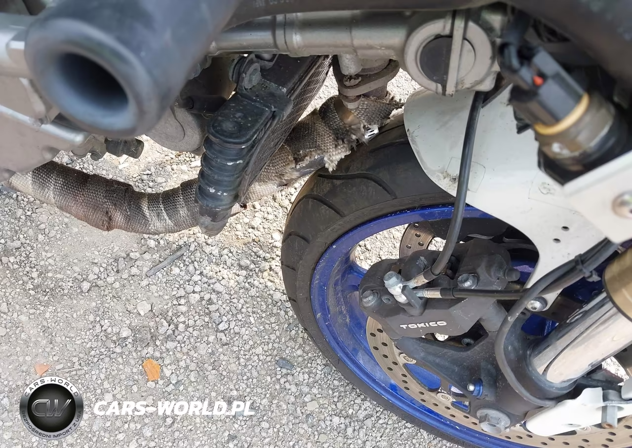 2006 Suzuki Sv650 VIN:JS1VP53A662105457 - 14
