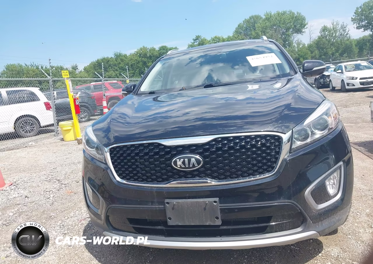 2016 Kia Sorento 3.3L Ex VIN:5XYPHDA57GG004690 - 12