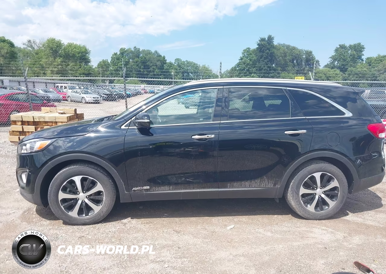 2016 Kia Sorento 3.3L Ex VIN:5XYPHDA57GG004690 - 14