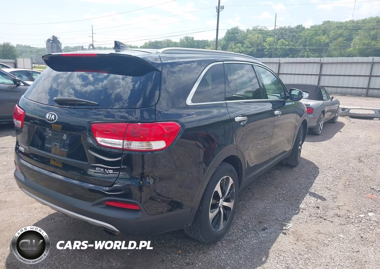2016 Kia Sorento 3.3L Ex VIN:5XYPHDA57GG004690 - 4