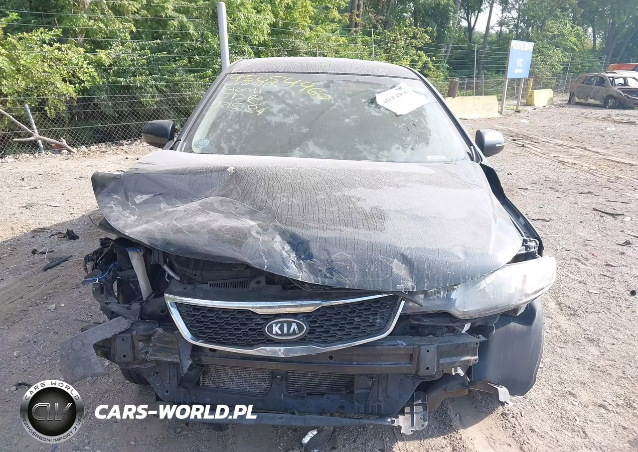 2013 Kia Forte Ex VIN:KNAFU4A21D5721584 - 12