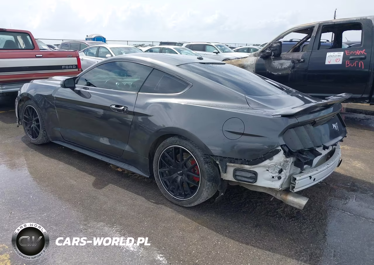 2017 Ford Mustang Ecoboost VIN:1FA6P8TH7H5322905 - 3