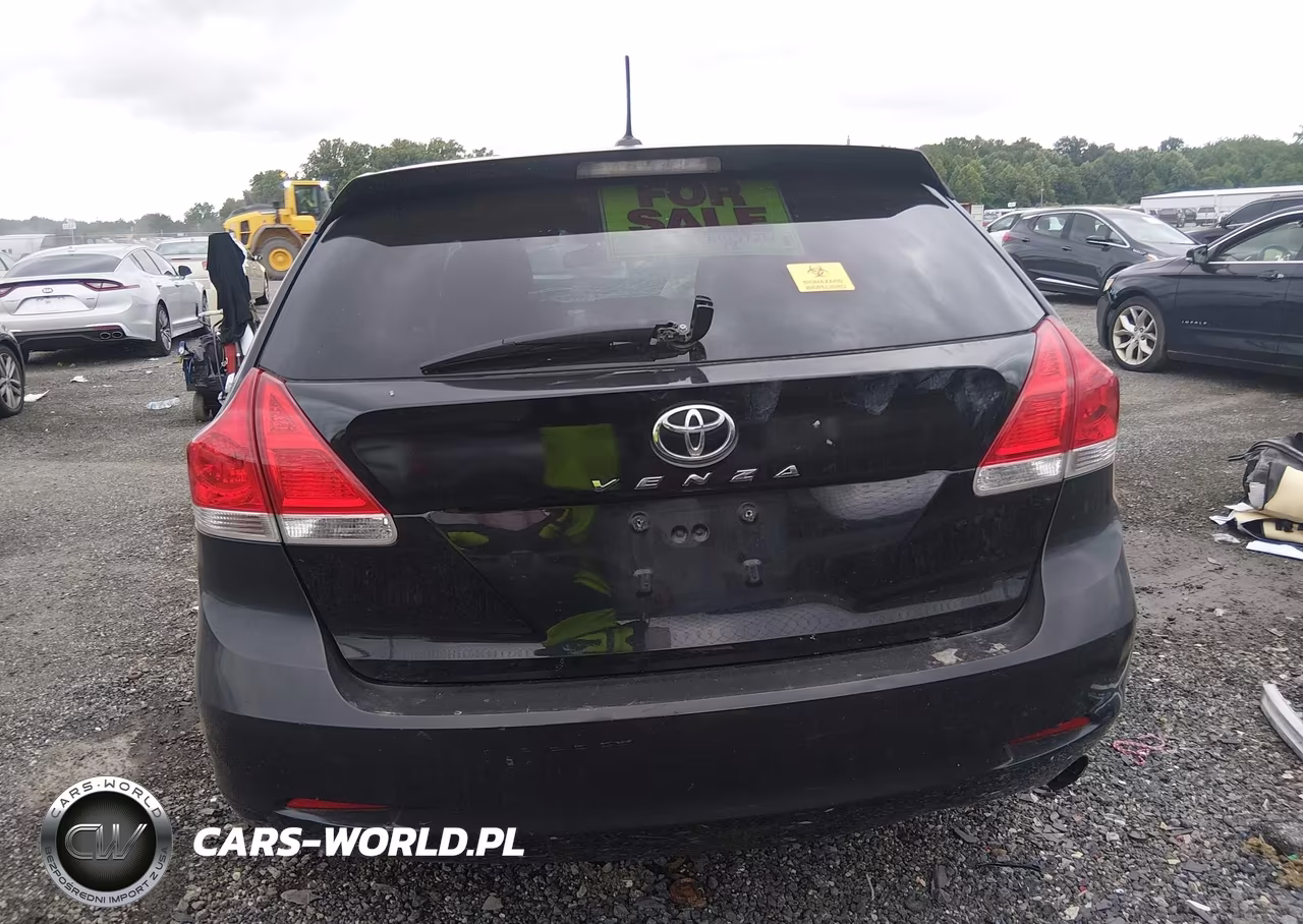 2010 Toyota Venza VIN:4T3ZA3BB1AU038581 - 16