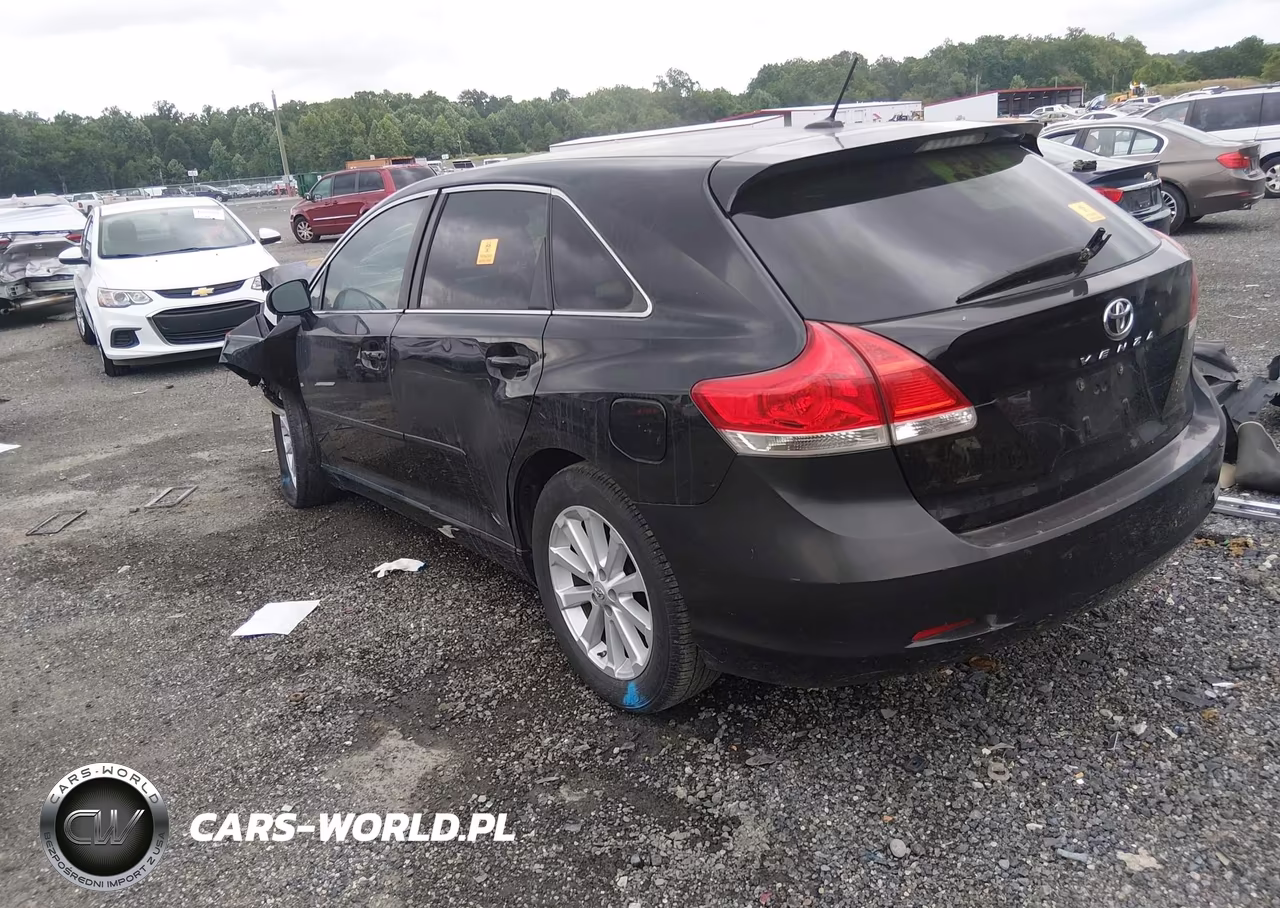 2010 Toyota Venza VIN:4T3ZA3BB1AU038581 - 3