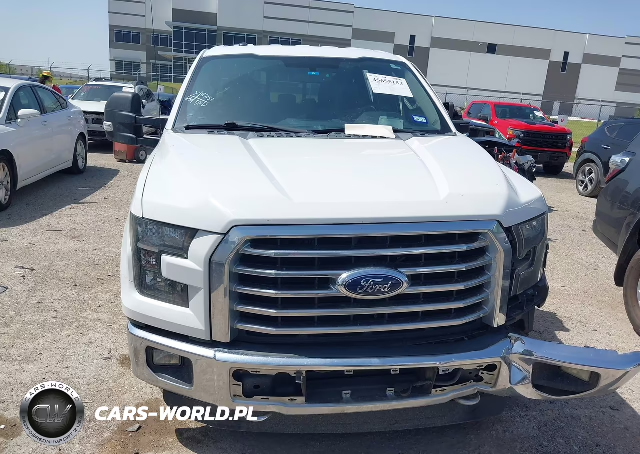 2015 Ford F-150 Xlt VIN:1FTEW1EP0FFA00392 - 12