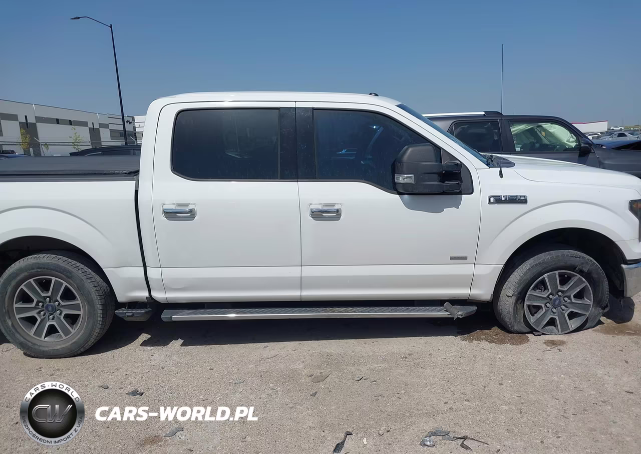 2015 Ford F-150 Xlt VIN:1FTEW1EP0FFA00392 - 13