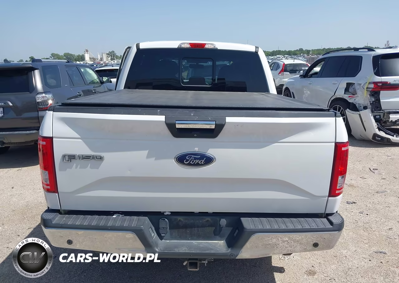 2015 Ford F-150 Xlt VIN:1FTEW1EP0FFA00392 - 16