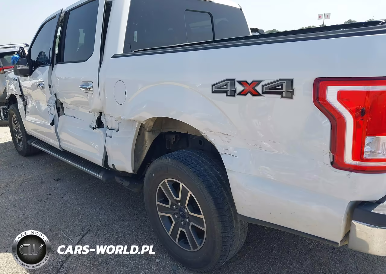 2015 Ford F-150 Xlt VIN:1FTEW1EP0FFA00392 - 17